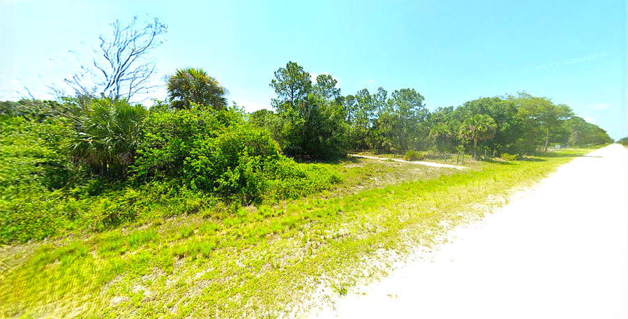 1.25 Acres | Versatile Homestead: Build Your Dream Home or Mobile Retreat Here!