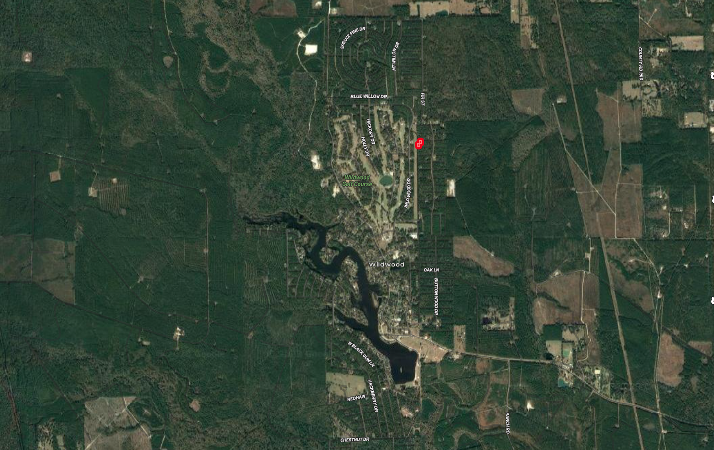 Discover Nature's Beauty: 0.44-acre Lot in Warren, TX - Act Fast!
