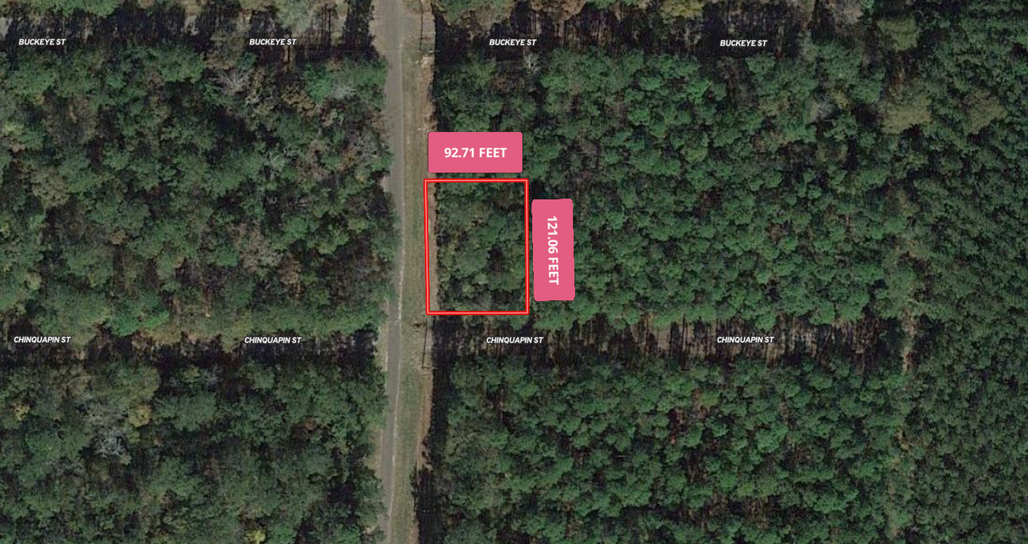 Secluded Paradise Awaits You in Tyler, TX! Over 0.25 Acres of Nature's Beauty!