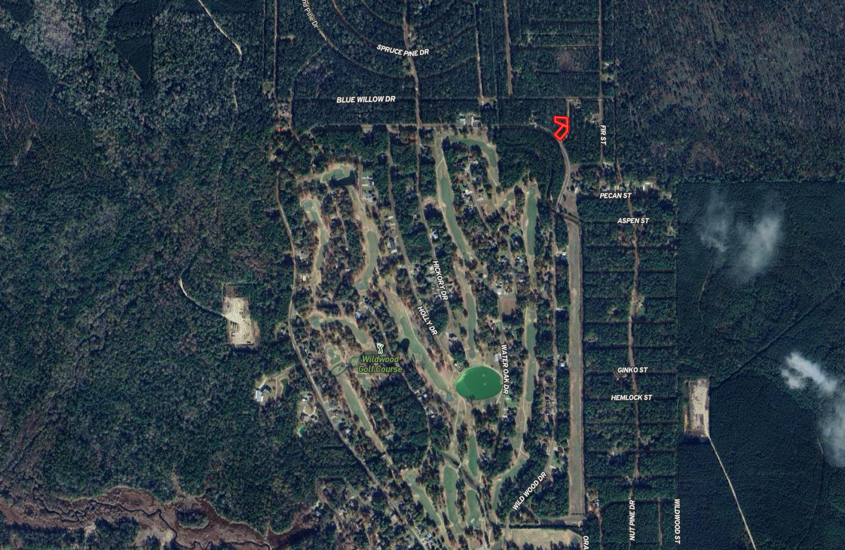 Unlock Your Dream: Exclusive 0.62-Acre Buildable Lot in Wildwood, TX!