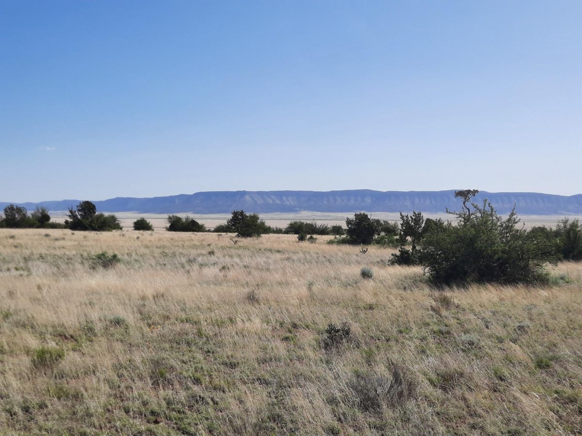 Serene Mountain View Property with Off-Grid Potential - Sierra Verde Ranch, Seligman, AZ
