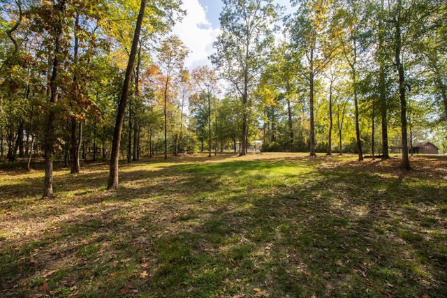 Website Headline: Your Scenic Oasis Awaits in San Augustine, TX!