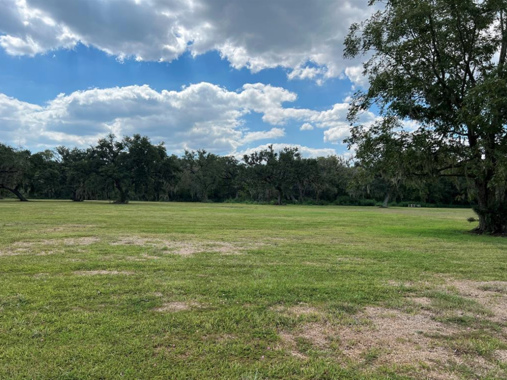 Prime 52.56 Acres in Brazoria, TX - Scenic Oasis with Endless Potential!