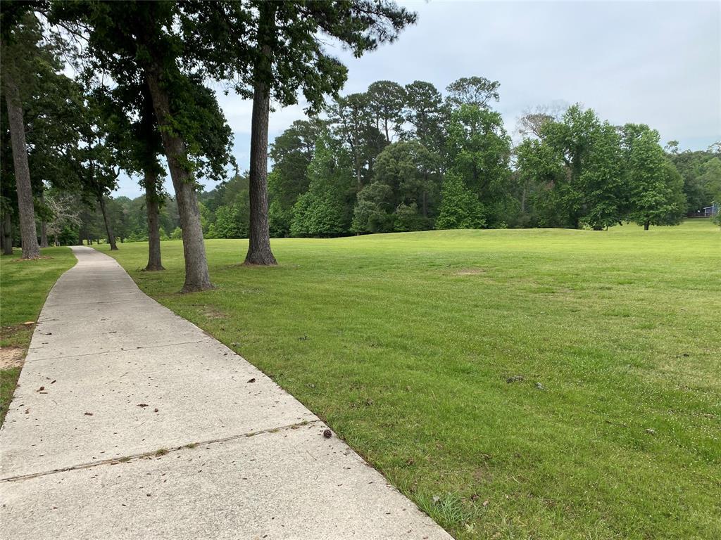 π Discover Your Oasis in San Jacinto, TX! 0.25 Acres of Natural Beauty π