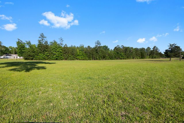 Discover Your Perfect Paradise - 0.08 Acres in Polk County, TX