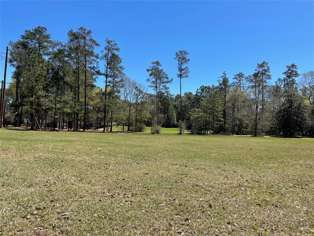 Secluded Paradise Awaits You in Tyler, TX! Over 0.25 Acres of Nature's Beauty!
