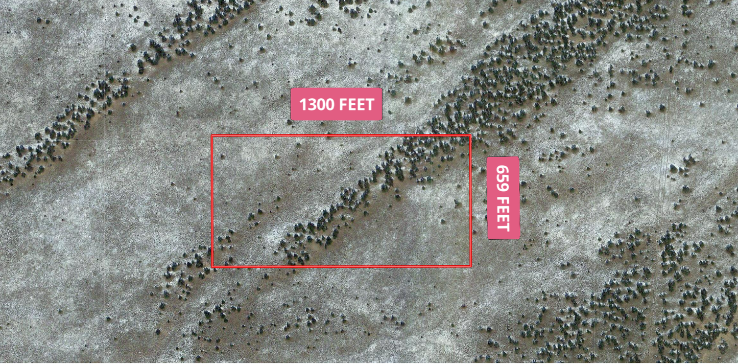 Discover a Hidden Gem! 20 Acres in Apache, AZ - Owner Financing Available!