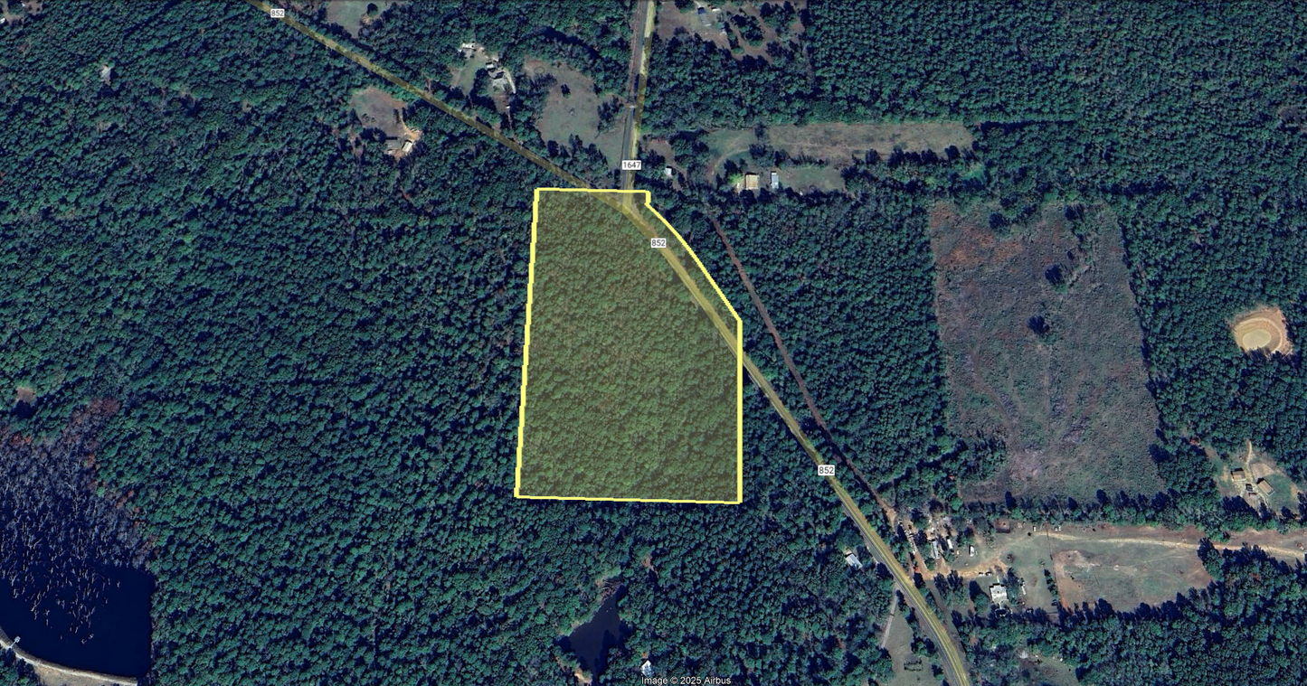 Unwind in Winnsboro: 19.56-Acre Oasis Awaits Your Vision!