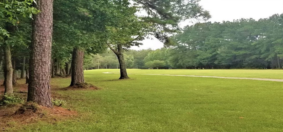 Discover Nature's Beauty: 0.44-acre Lot in Warren, TX - Act Fast!