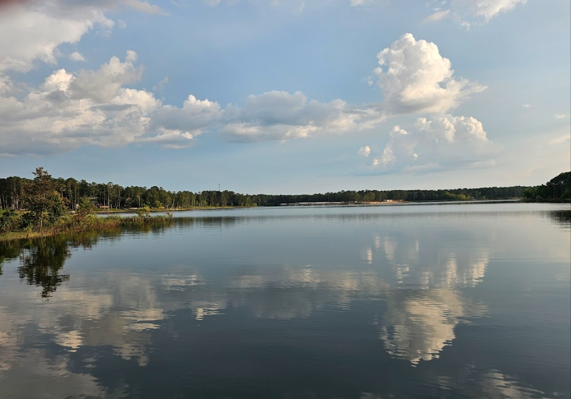 Discover the Hidden Gem of Jasper County, TX!