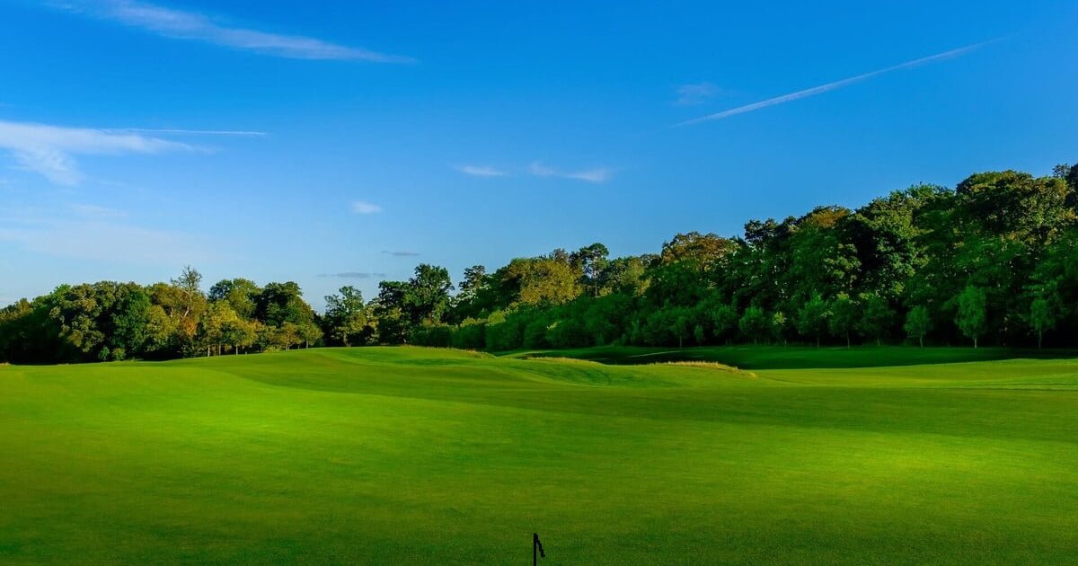 Prime 52.56 Acres in Brazoria, TX - Scenic Oasis with Endless Potential!