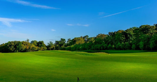 Prime 52.56 Acres in Brazoria, TX - Scenic Oasis with Endless Potential!