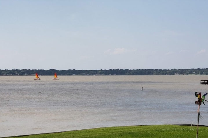 Exceptional Lot with Road Frontage and Nearby Utilities Near Lake Livingston!