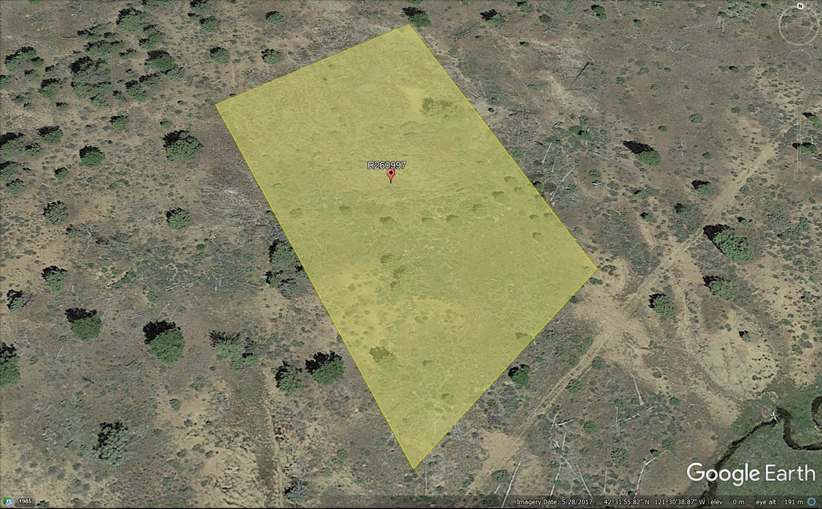 Great Location For Your Own Private Paradise! Own this Unrestricted Lot!