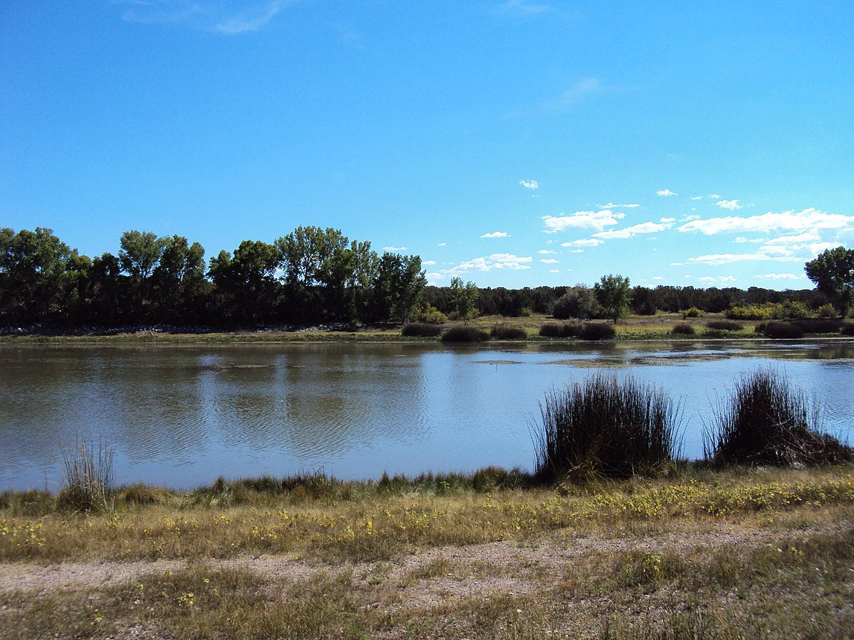 A Rare Find Property Near Concho Lake, AZ. Buy Now!