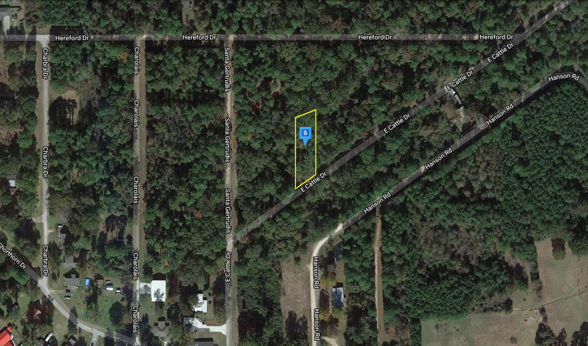 Beautiful Homesite Nearby Lake Livingston!