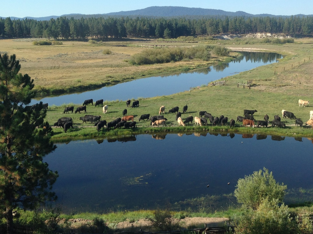 Great Location For Your Own Private Paradise! Own this Unrestricted Lot!