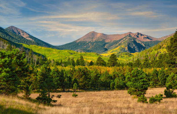 Great place to park your RV and relax. Own it Today!