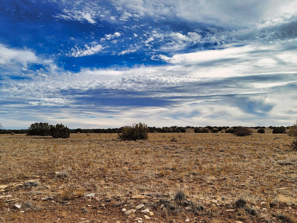 Your Dream Oasis Awaits! 37.09 Acres in Apache, AZ - Owner Will Finance!