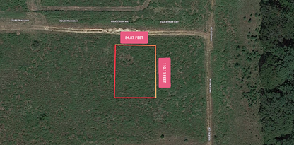 Own Your Private Oasis with River Access - 0.22 Acres in Serene Flint, TX