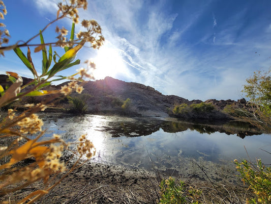 Discover Your Oasis - Half-Acre Paradise in El Paso, TX!