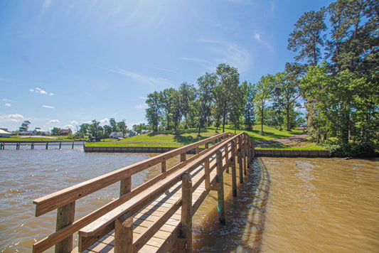 🌟 Discover Your Oasis in San Jacinto, TX! 0.25 Acres of Natural Beauty 🌟