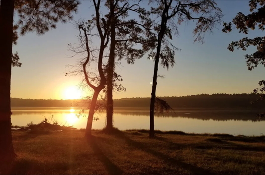Serene Lakefront Property! Boat dock access - Owner will finance