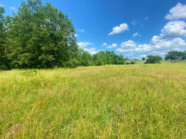 Discover a Hidden Gem - 0.18-acre off-grid oasis near Garland, TX!