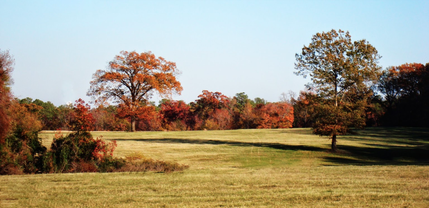 Your Private Oasis in Franklin, TX - 0.10 Acres - Financing Available!