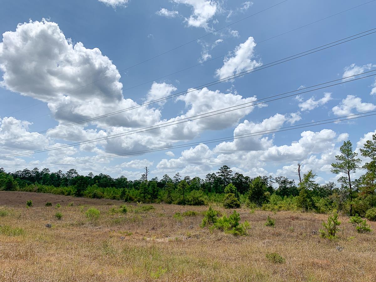 0.23 Acres near College Station, TX! Immediate Lake Access, Ideal for Development!