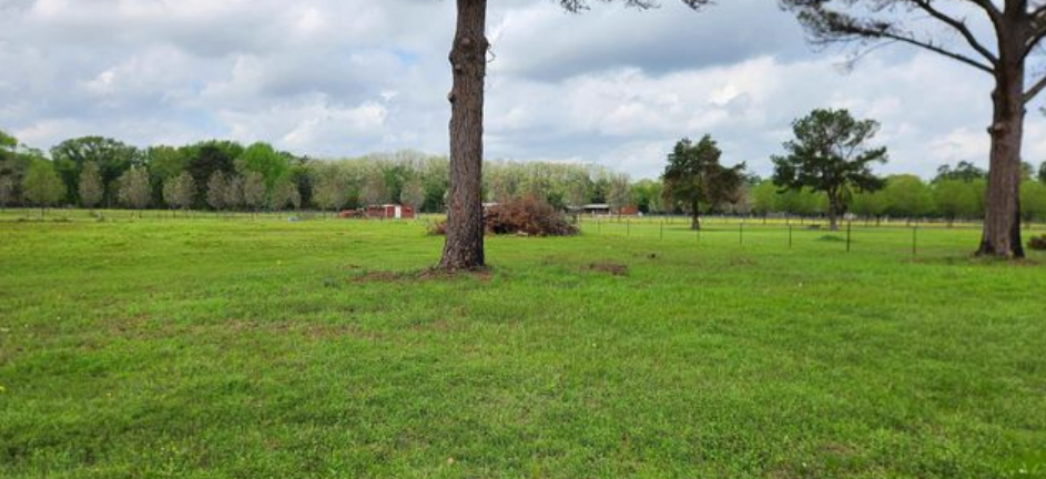 Your Tranquil Retreat Awaits - 0.21 Acres in Franklin County, TX - Owner Will Finance!