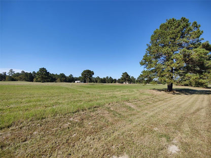 Discover Tranquility: Secluded 0.10-acre Paradise in Trinity, TX!