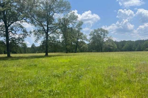 Discover Your Tranquil Oasis - 0.31 Acres in Trinity, TX - Available Now!