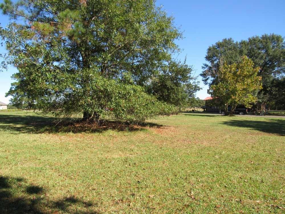 Discover Your Dream Oasis in Trinity, TX - 0.08-acre Paradise Awaits!