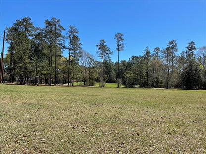 Secluded Paradise Awaits You in Tyler, TX! Over 0.25 Acres of Nature's Beauty!