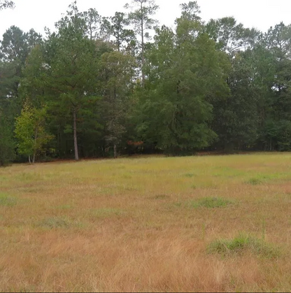 Unlock Your Dream: Exclusive 0.62-Acre Buildable Lot in Wildwood, TX!