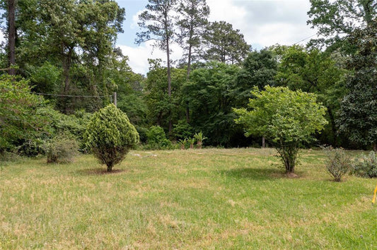🌲 Embrace Serenity and Opportunity on 0.18 Acres in Trinity Cove, Trinity, TX 🌲