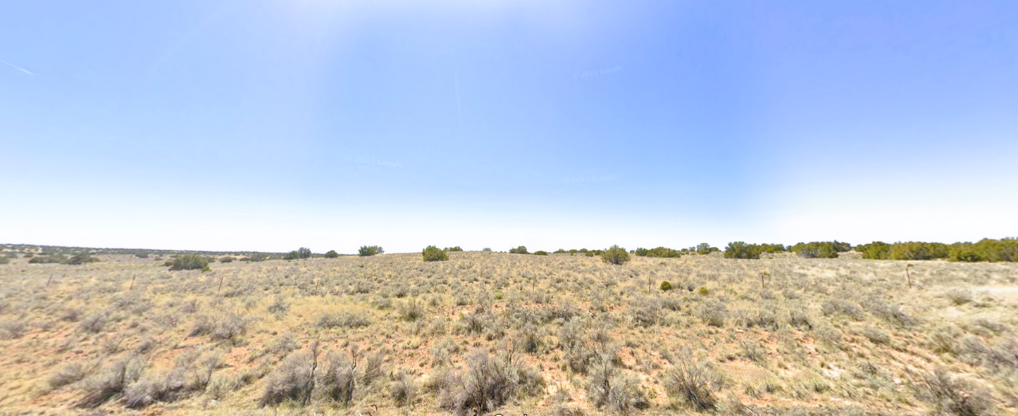 Discover a Hidden Gem! 20 Acres in Apache, AZ - Owner Financing Available!