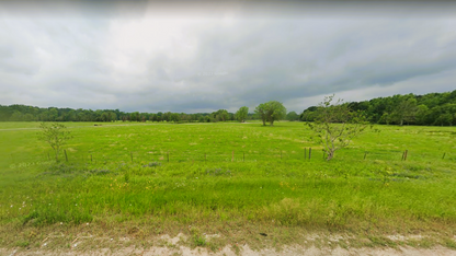 Discover Your Scenic Paradise in Livingston, TX - Owner Will Finance!