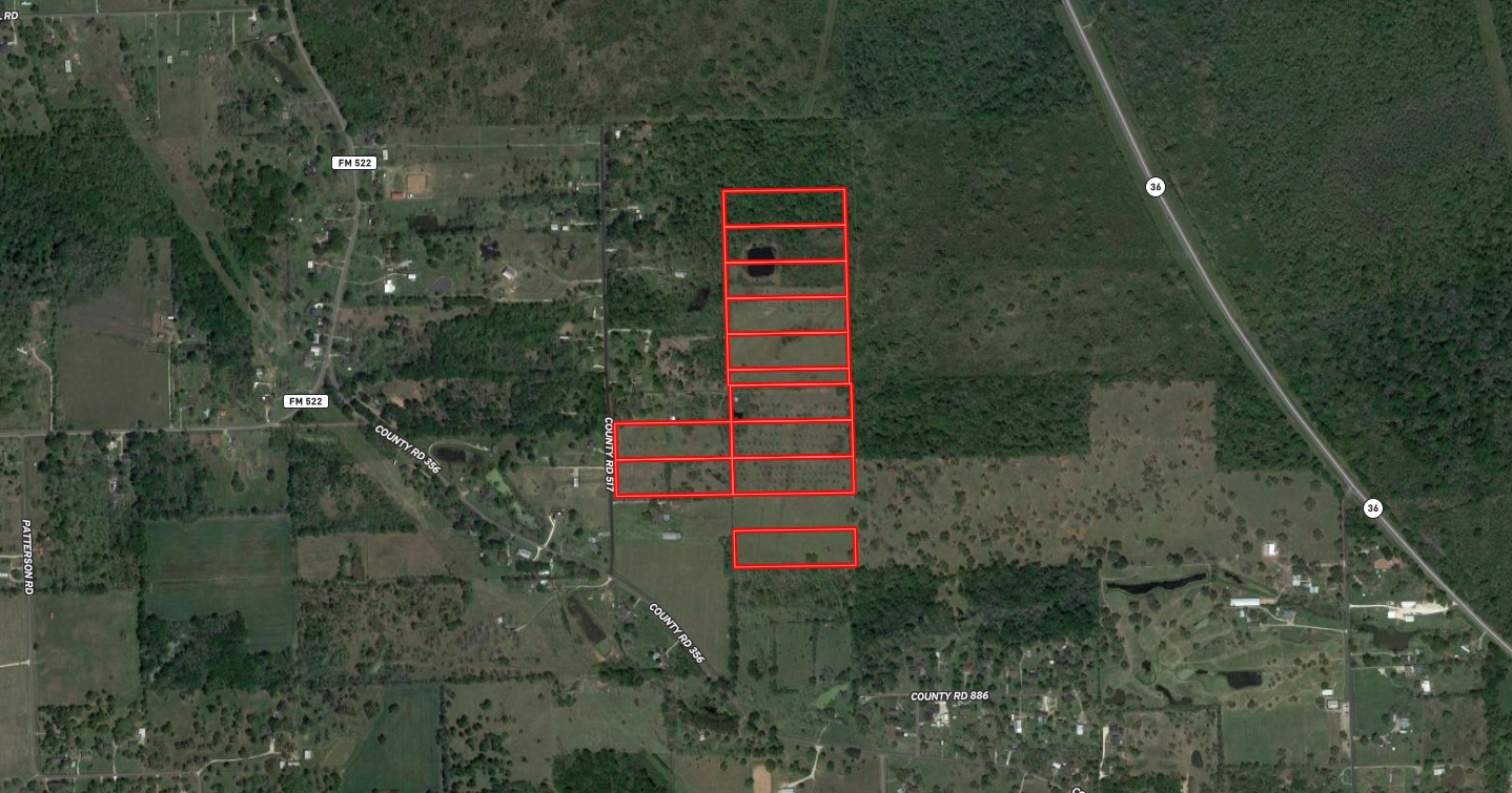 Prime 52.56 Acres in Brazoria, TX - Scenic Oasis with Endless Potential!
