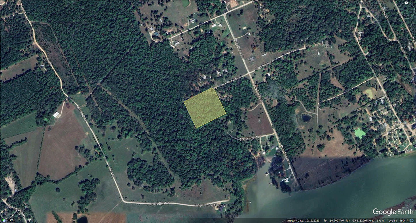 Expansive 5.5 Acres in Trinity County, TX – Prime Location Near Houston!