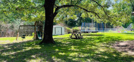 Your Serene Oasis Awaits! 0.26 Acres in Chicot County, AR - Owner Will Finance!