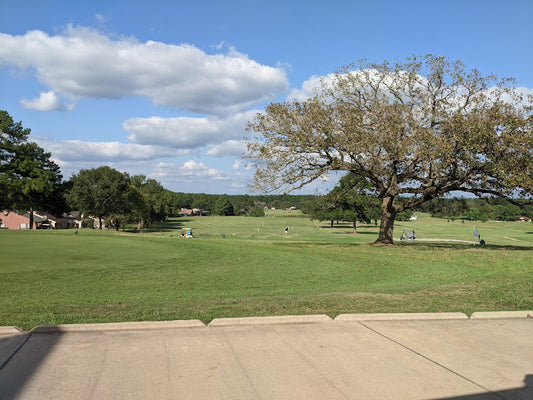 Discover Your Dream Oasis in Trinity, TX - 0.08-acre Paradise Awaits!