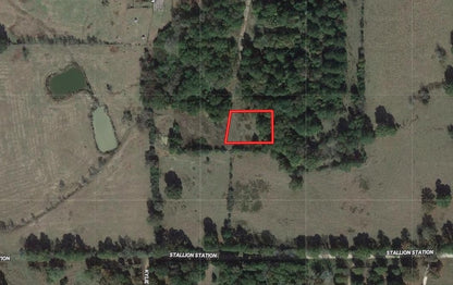 Exceptional Lot with Road Frontage and Nearby Utilities Near Lake Livingston!