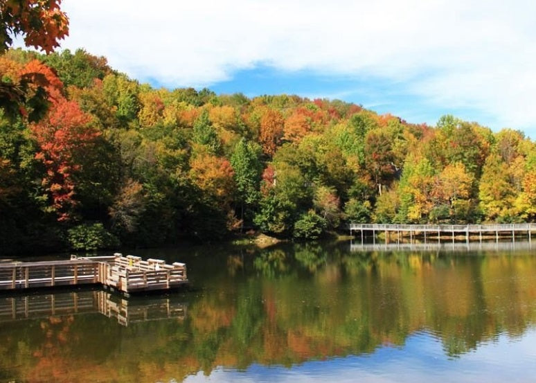 Invest in a Priceless Piece of Raw Land in Beech Mountain, NC