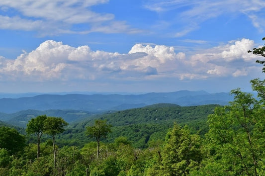 Invest in a Priceless Piece of Raw Land in Beech Mountain, NC