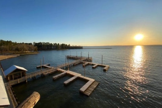 Take in the fresh air from Lake Livingston, TX - Affordable price for a nice lot!