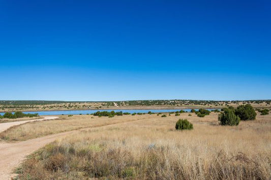 A Rare Find Property Near Concho Lake, AZ. Buy Now!