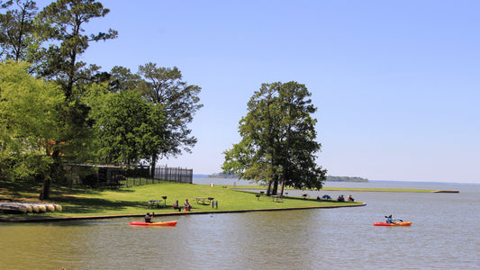 Peechy Pine Harbor Livin' by Lake Livingston. Own it Today!