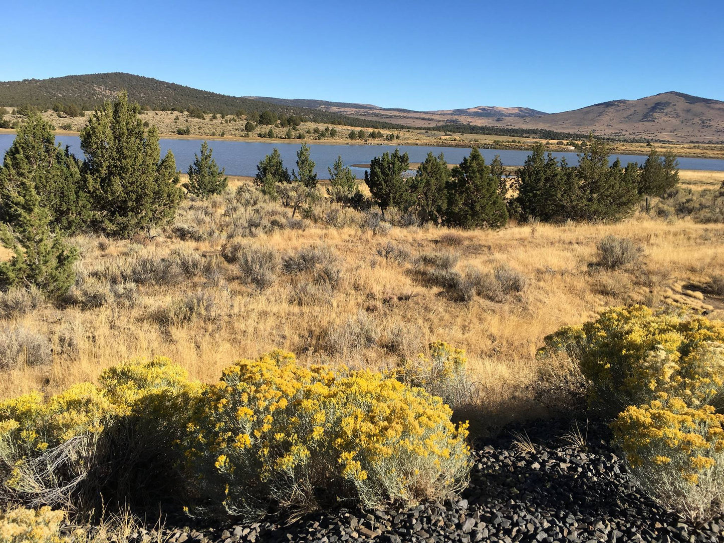 Half Price!! Beautiful Half-Acre Lot in Modoc, CA.